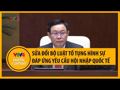 Video Sửa đổi Bộ luật Tố tụng hình sự đáp ứng yêu cầu hội... - youtube