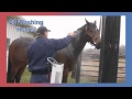 Insta Hot® Equine Portable Washing System