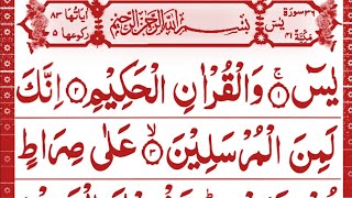 Yaseen surah|Surah yaseen |yaseen shareef ki tilawat | Yaseen Sharif |یسین Al saeed quran tv