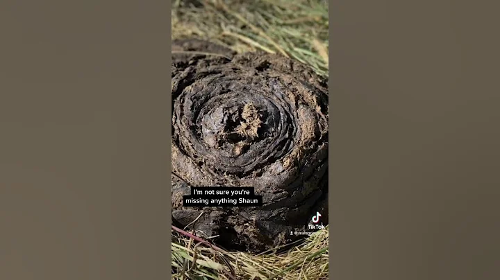 How often should you spread #manure on your land? #cdnag #ontag #westcdnag