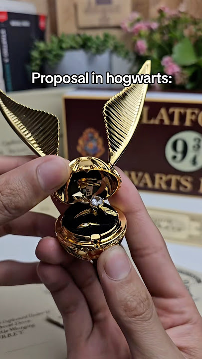 The perfect proposal for a Potterhead girl 💕 #harrypotter #harrypotterfan