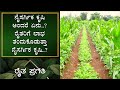       ep  01  natural farming  introduction  raitha pragathi
