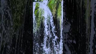 Download Lagu Lost in Nature 🌿 MP3