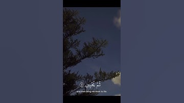 القارئ عثمان الحداد | [ الشعراء : ٧٨ ] | #القارئ #عثمان_الحداد @Ahmad_Alnufais