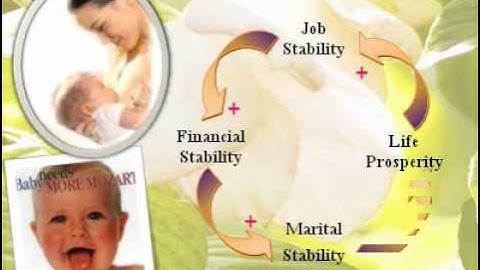 Causal Loop Diagram of Mather Love.wmv