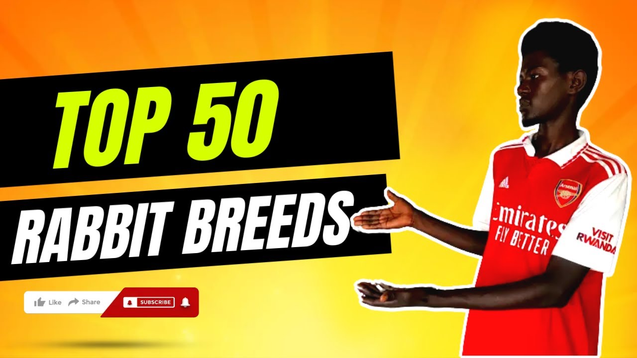 Hop into Diversity: Top 50 Rabbit Breeds 2023 