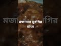 মুরগির মাংস। #viral #chittagong #lemongrasschicken