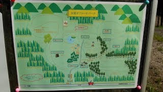 20190908　女堂ｵﾌﾛｰﾄﾞﾊﾟｰｸ　Bｿﾞｰﾝ