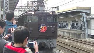 団体専用列車【暁星学園鉄道研究会号】EF64-37+旧型客車+EF60-19 高崎発車