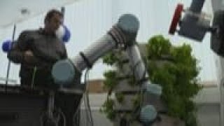 Robots and humans work together in the farms of the future