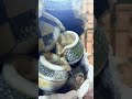 شديته ست شدات حمام سوريا اكسبلور الرياض حمام