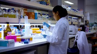 Study Biotechnology At Griffith University