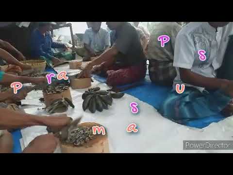 TRADISI NGEBAT