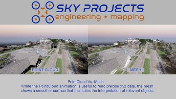 Point Cloud Vs. Mesh