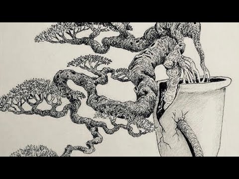 Bonsai ileng ileng terbaik milik kolektor Cilegon #PPBI cilegon - YouTube