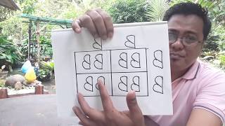 HOW TO MAKE NEW STRAIN OF BETTA/SIAMESE FIGHTING FISH.using punnett square method.