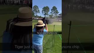 Tiger crashed during Bryson Dechambeau's chip        #tigerwoods #golf #themasters #brysondechambeau