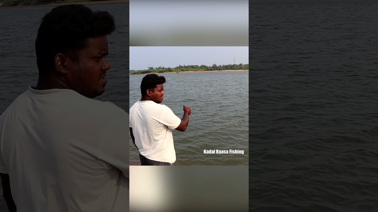 Simple Bottle Trap Fishing for Mullet (Maida Bait Trick)