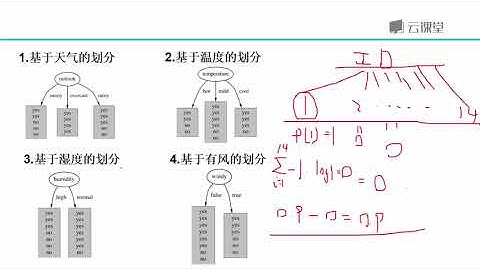 python数据分析与机器学习实战-课时45.信息增益率的作用.flv_d