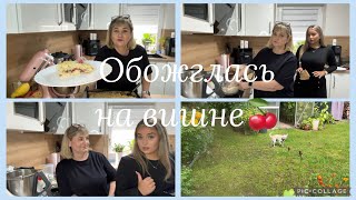 видео: Обожглась на вишни,навредила бизнесу🤣немецкий пирог с черносливом,TikTok Shops это другой,мой урожай картинка: Обожглась на вишни,навредила бизнесу🤣немецкий пирог с черносливом,TikTok Shops это другой,мой урожай