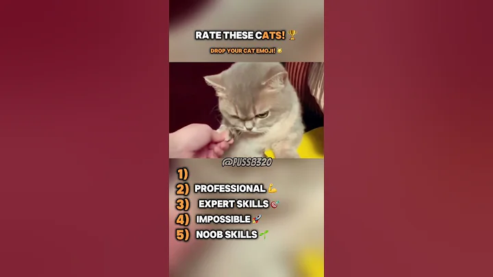Video 11892351: cat cutecat funny, cat cute pets, funny cats cute funniest, cute kitten