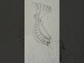 simply draw fish with pencil#short#drawing #art #vairal