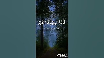 سورة الضحى  للقارئ محمد الفقيه
