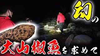 【山復興】佐賀に居ないはずの天然記念物オオサンショウウオを探す！