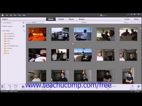 Photoshop Elements 12 Tutorial The Organizer Environment Adobe Training Lesson 2.1