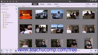 Photoshop Elements 12 Tutorial The Organizer Environment Adobe Training Lesson 2.1