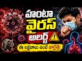 What Is Hantavirus? 🤯 | How It Spreads & Who Is at Risk