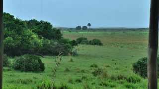 Rocha,llueve en un rincón de la costa.