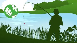 The Power Of Indiana Wetlands