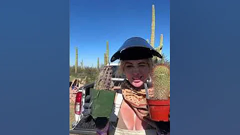 The Cactus Tub aka The Cactub 🤌. #couple #nature #couplegoals #youtube #forest #cabin #diy