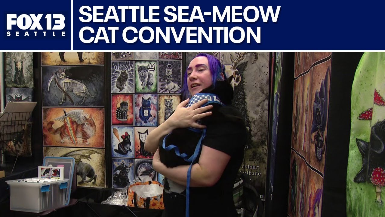FOX 13 cat correspondent takes on Sea-Meow Cat Convention