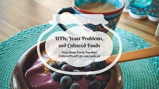 Podcast Episode 79: UTIs, Yeast Problems, and Cultured Foods