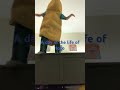 The day in a life as toco