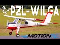 Black Horse PZL-104 Wilga 88&quot; (2240mm) Flight | Motion RC