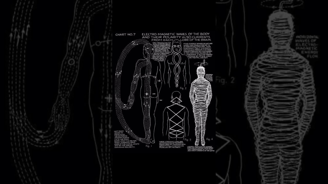 The Electromagnetic Nature of Life