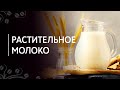 Растительное молоко для кофе | Состав, производство, особенности использования в кофейных напитках