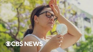 Doctor on how to stay safe during a heat wave