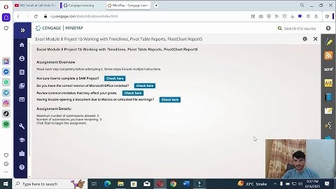 Shelly Cashman Excel 2019 | Module 8: SAM Project 1b | Delgado Designs