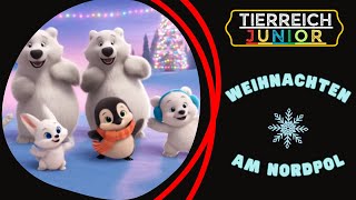 Weihnachten Am Nordpol Weihnachtslied Für Kinder Tierreich Junior