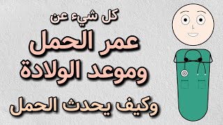 حساب عمر الحمل وموعد الولادة - وكيف يحدث الحمل