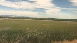 IMG 3448