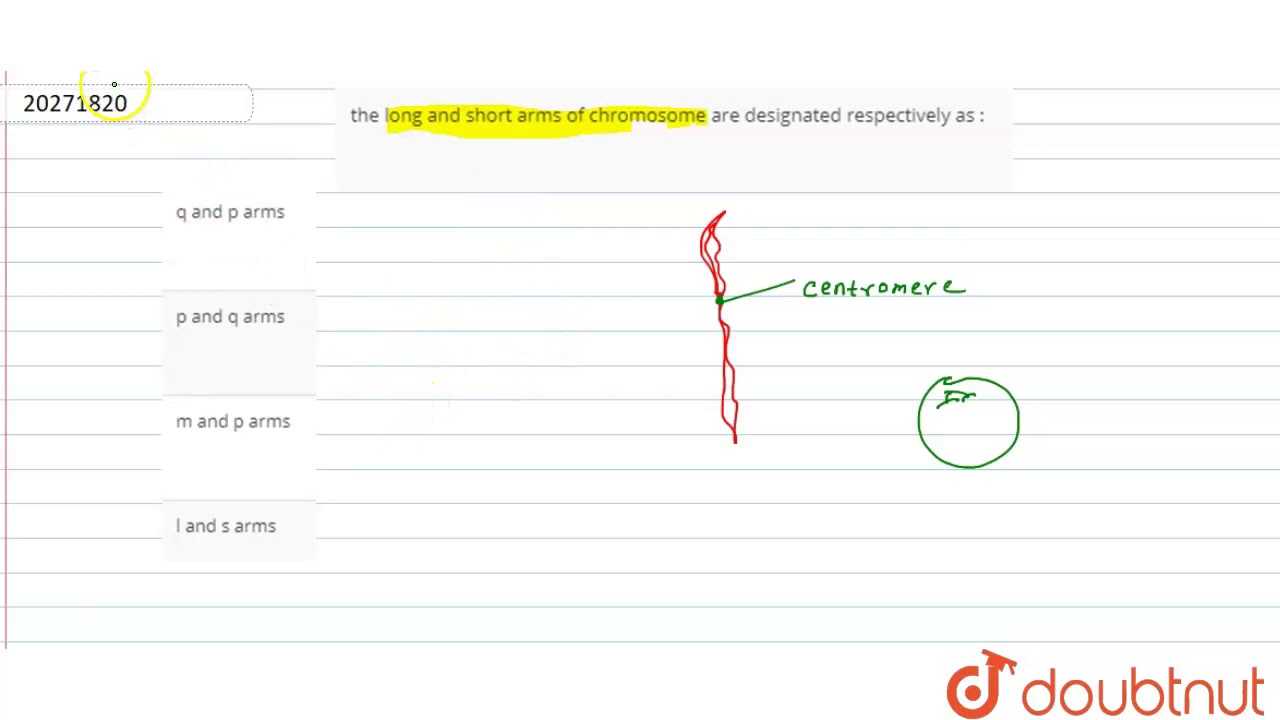 the long and short arms of chromosome are designated respectively as :