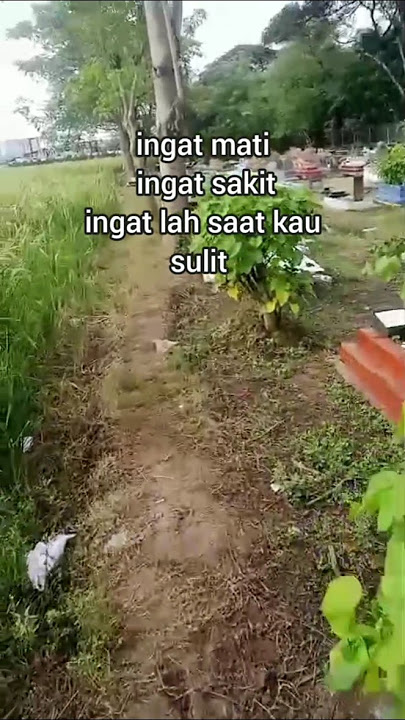 tobat maksiat-wali-band#shorts video