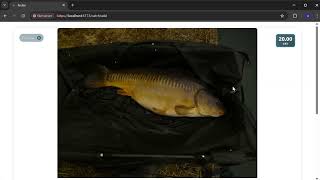Tutorial 13: Share a catch / create catch report for all properties
