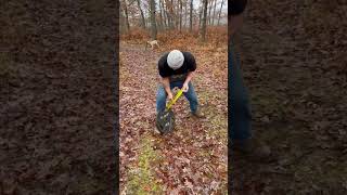 Todzilla Is At Another Level Of Training