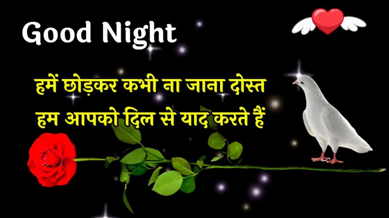 Good night status  good night Shayari  good night  गुड ...